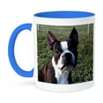 thumbnail image 1 of 3dRose, Boston Terrier Portrait, 11oz Two-Tone Blue Mug, 1 of 7