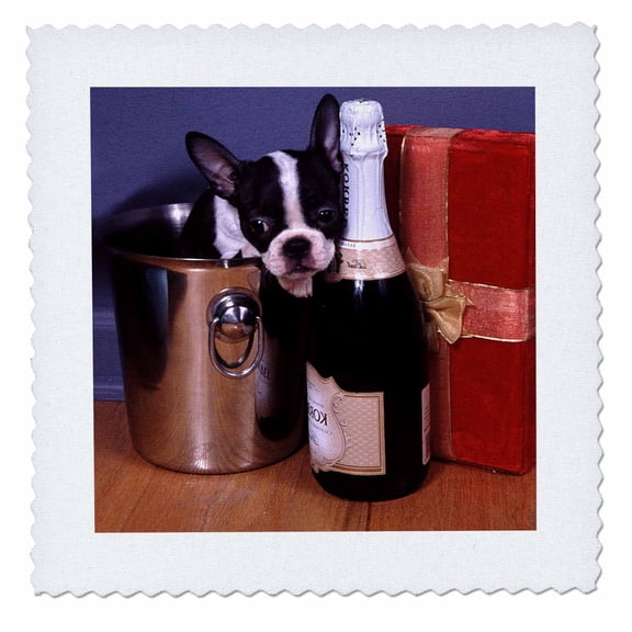 3dRose, Boston Terrier Satine, 10x10 inch quilt square