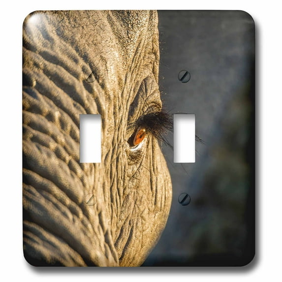 3dRose, Botswana, Moremi Game Reserve, Sunrise lights eye of African Elephant, double toggle switch
