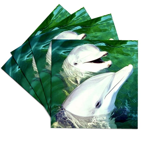 3dRose, Bottlenose Dolphin, Set of 4 Ceramic Tile Coasters