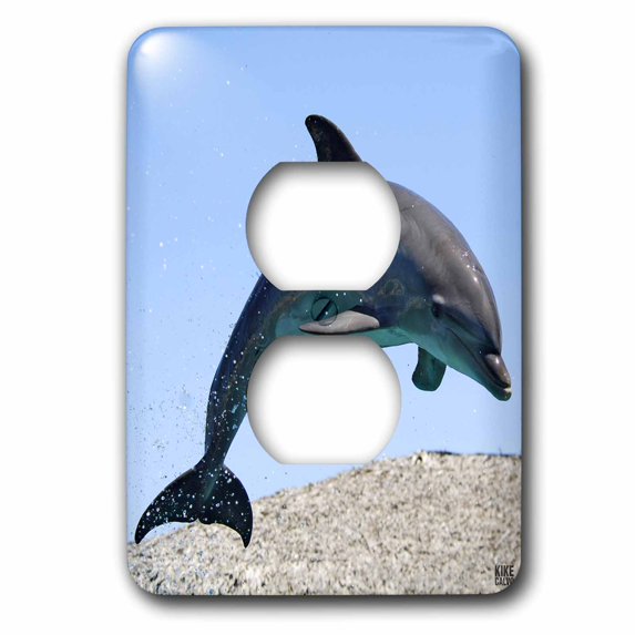 3dRose Bottlenose dolphin - 2 Plug Outlet Cover (lsp_10697_6)