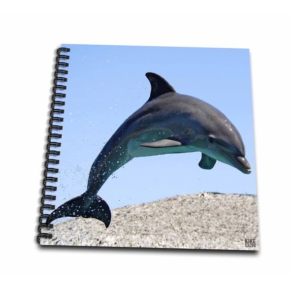 3dRose, Bottlenose dolphin, Drawing Book 8 x 8 inch