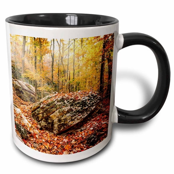 3drose, Boulder in the Autumn Forest in Monte Sano State Park, 11oz Two-tone Black Mug
