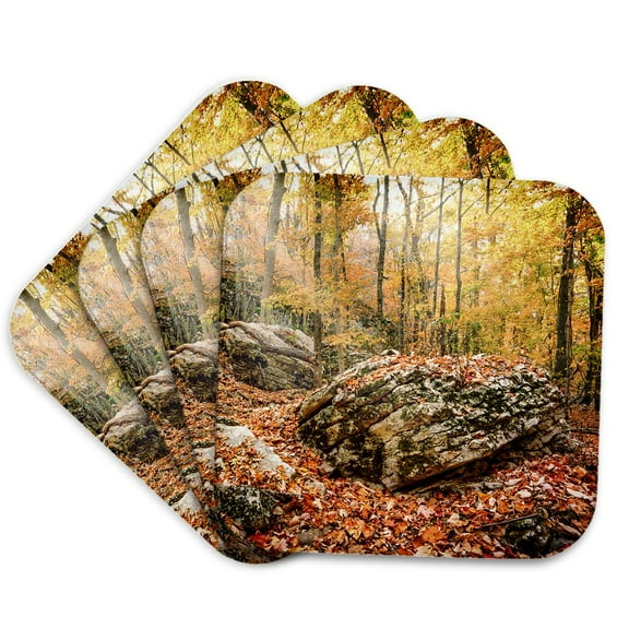 3drose, Boulder in the Autumn Forest in Monte Sano State Park, Set of 4 Coasters - Soft