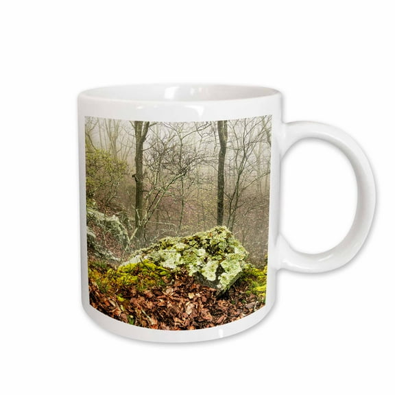 3drose, Boulder on the Misty Cliffside in Monte Sano State Park, 11oz Mug