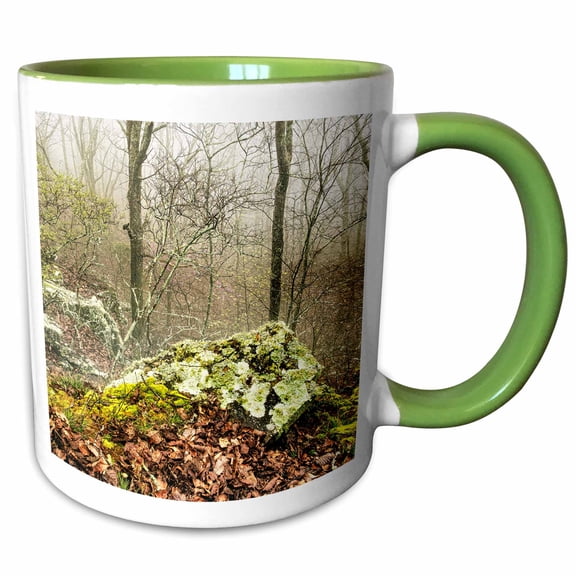 3drose, Boulder on the Misty Cliffside in Monte Sano State Park, 11oz Two-tone Green Mug