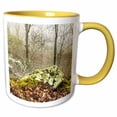 thumbnail image 1 of 3drose, Boulder on the Misty Cliffside in Monte Sano State Park, 11oz Two-tone Yellow Mug, 1 of 6