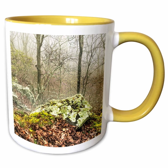 3drose, Boulder on the Misty Cliffside in Monte Sano State Park, 11oz Two-tone Yellow Mug