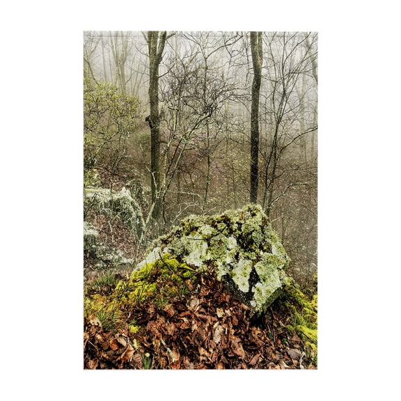 3dRose, Boulder on the Misty Cliffside in Monte Sano State Park, 15x22 Hand Towel