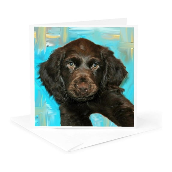 3dRose, Boykin Spaniel Puppy, 1 Greeting Card with envelope