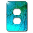 thumbnail image 1 of 3dRose, Branched In Turquoise, 2 plug outlet cover, 1 of 1