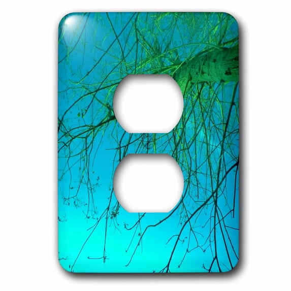 3dRose, Branched In Turquoise, 2 plug outlet cover