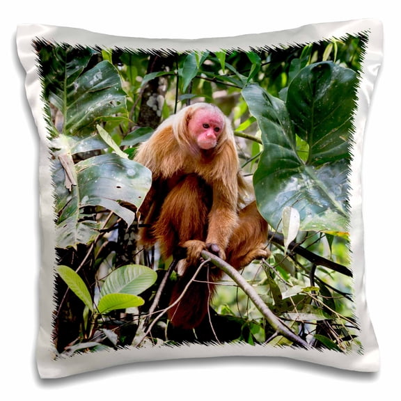 3dRose, Brazil, Amazon, Manaus, Portrait of a bald uakari monkey in the trees., 16x16 inch Pillow Case