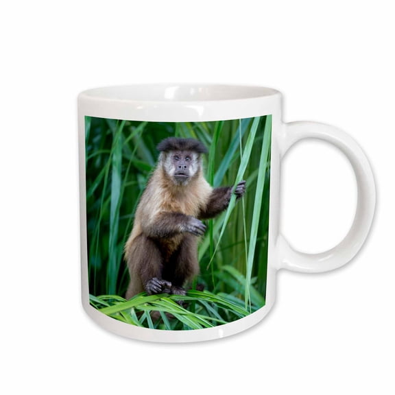 3drose, Brazil, Mato Grosso Do Sul, Bonito. Brown Capuchin Monkey in Tree, 11oz Mug
