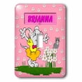 thumbnail image 1 of 3dRose, Brianna - Decorative Name Specific Childrens Art, single toggle switch, 1 of 1
