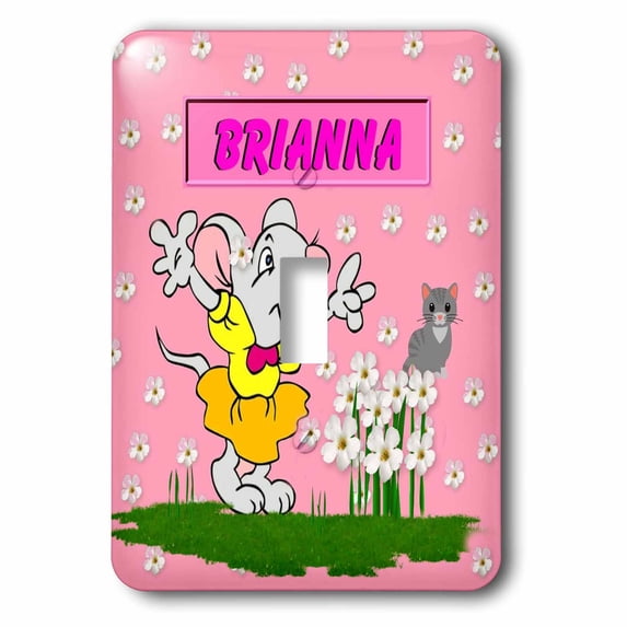 3dRose, Brianna - Decorative Name Specific Childrens Art, single toggle switch