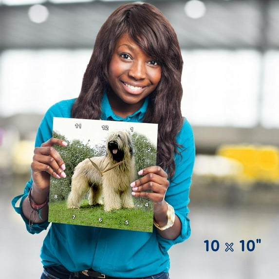 3dRose, Briard, 10x10 Wall Clock