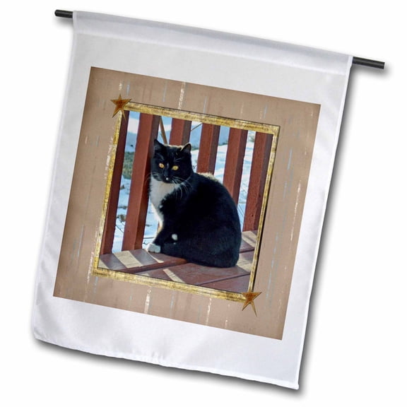 3dRose, Bright Eyed Black and White Kitten Standing on Patio in Frame with Stars, 12 x 18 inch Garden Flag