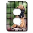 thumbnail image 1 of 3dRose, Brindle Boxer Puppy, 2 plug outlet cover, 1 of 1
