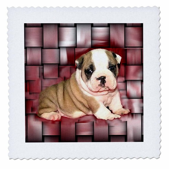 3dRose, British Bulldog Puppy, 10x10 inch quilt square