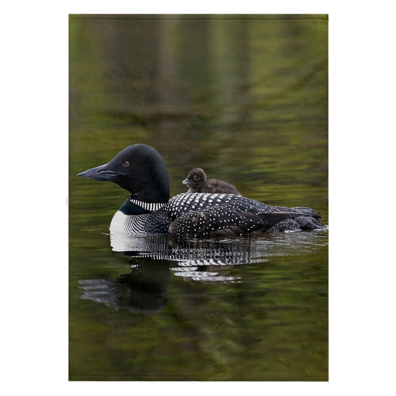 3dRose, British Columbia. Common Loon bird-CN02 CSL0065 - Charles Sleicher, 22x30 Bath Hand Pool Towel