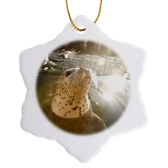 3drose, British Columbia, Victoria, Harbor Seals, Oak Bay-cn02 Sws0085 - Stuart Westmorland, 3 inch Snowflake Porcelain Ornament