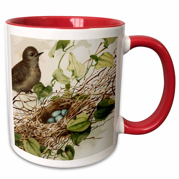 3drose, Brown Bird over Branch and Nest Full of Eggs, 15oz Two-tone Red Mug