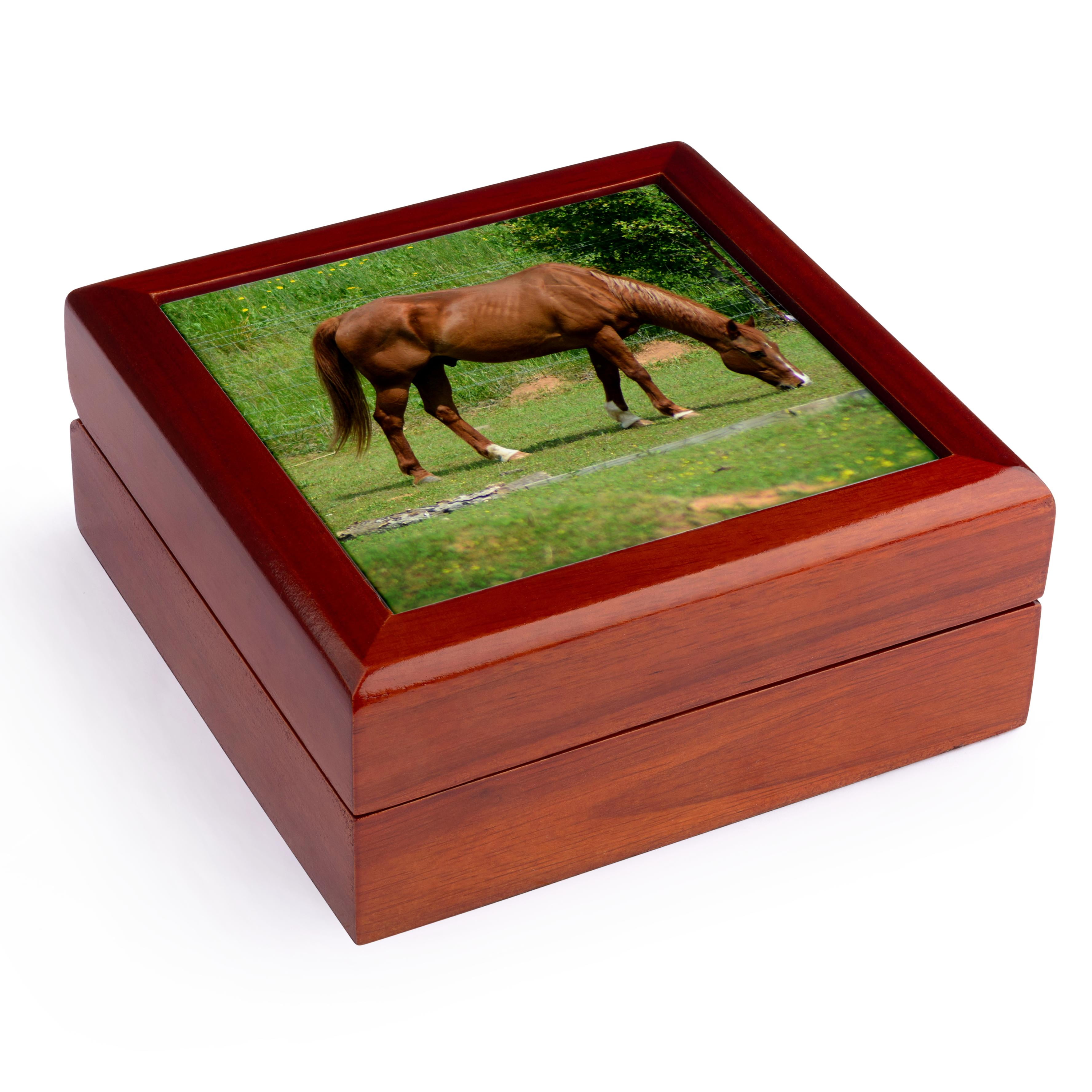 3dRose, Brown Horse in the Field is a photo of a horse eating grass, Jewelry Box 5.5x5.5 inch with 4 inch tile