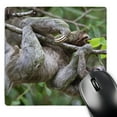 thumbnail image 1 of 3dRose, Brown-Throated Sloth wildlife, Corcovado Costa Rica - SA22 JGS0013 - Jim Goldstein, Mouse Pad, 1 of 7