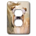 thumbnail image 1 of 3dRose, Brussels Griffon Portrait, 2 plug outlet cover, 1 of 1