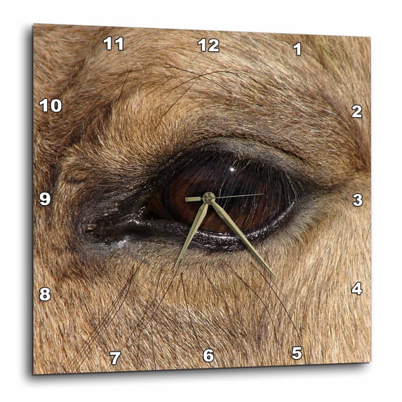 3dRose, Buckskin Eye by Angelandspot, 10x10 Wall Clock