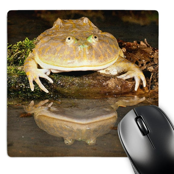3dRose, Budgetts Frog, Native to Primarily Peru - NA02 DNO0937 - David Northcott, MousePad