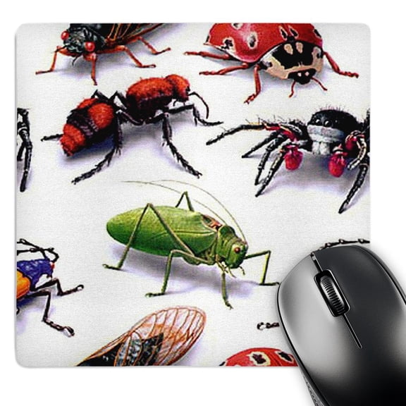 3dRose, Bug Pattern , MousePad