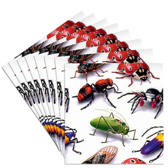 3dRose, Bug Pattern , Set of 8 Ceramic Tile Coasters