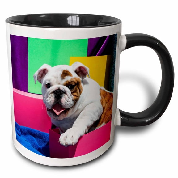 3drose, Bulldog Puppy Sitting in Colorful Box, Mr, 11oz Two-tone Black Mug