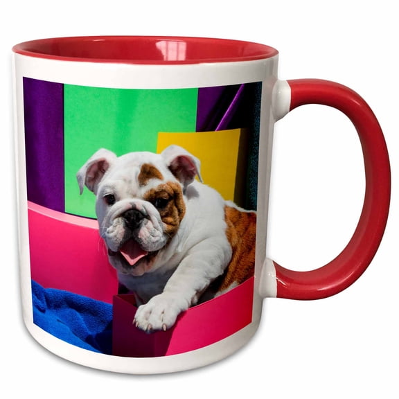 3drose, Bulldog Puppy Sitting in Colorful Box, Mr, 11oz Two-tone Red Mug