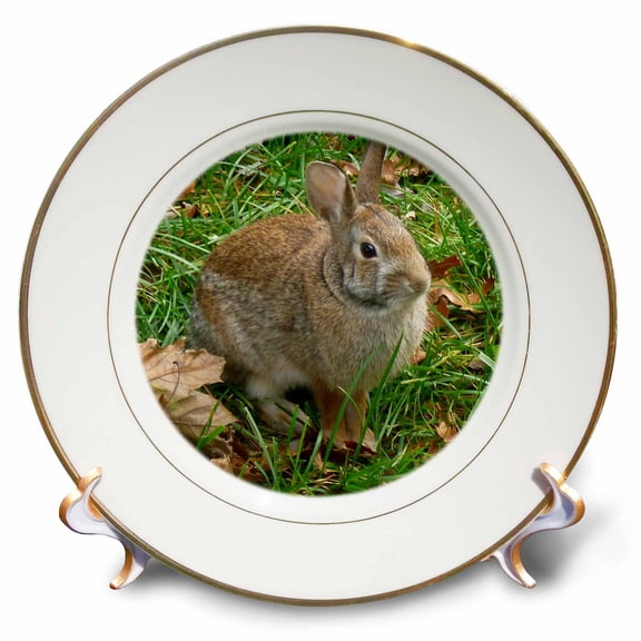 3dRose, Bunny Rabbit In Autumn, 8 inch Porcelain Plate