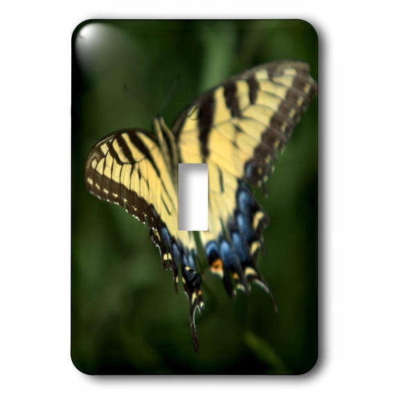 3dRose, Butterfly Yellow Blue Black Flying, single toggle switch
