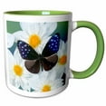thumbnail image 1 of 3drose, Butterfly on Flowers, Striped Blue Crow Butterfly - Us48 Dgu0552 - Darrell Gulin, 11oz Two-tone Green Mug, 1 of 6