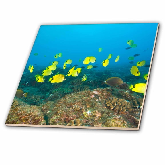 3dRose, Butterflyfish, Maui, Hawaii - US12 SWS0138 - Stuart Westmorland, 4 Inch Ceramic Tile