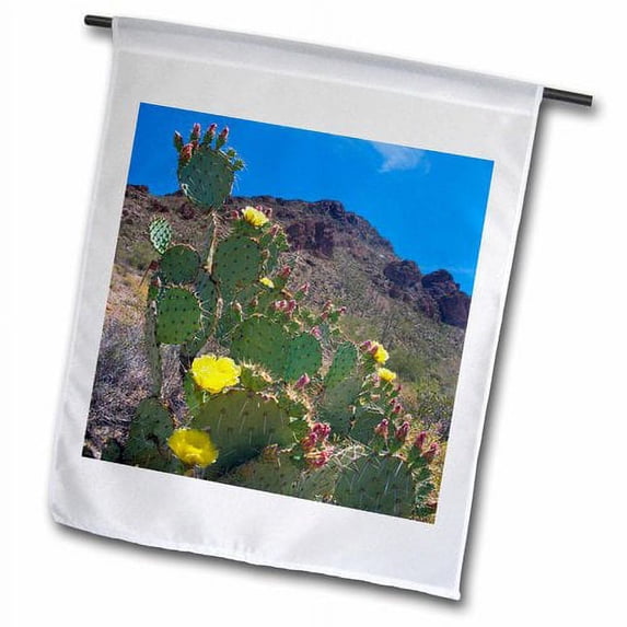 3dRose, USA, Arizona. Cactus in the hills outside of Tucson., 12 x 18 inch Garden Flag