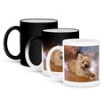 thumbnail image 1 of 3dRose, Cairn Terrier, 11oz Magic Transforming Mug, 1 of 8