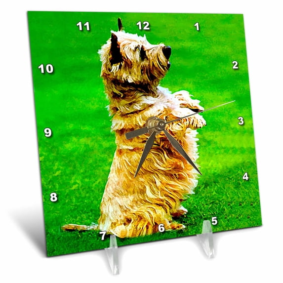 3dRose, Cairn Terrier, 6x6 Desk Clock