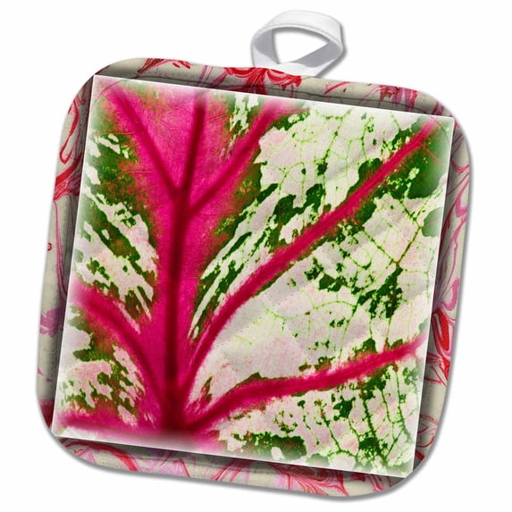 3dRose, Caladium Leaf Detail, 8x8 Potholder