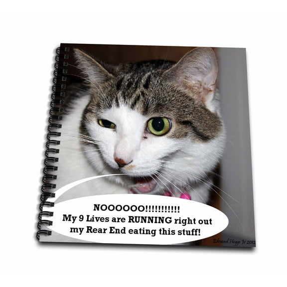 3dRose, Calico Kitty Funny Face , Mini Notepad 4 x 4 inch