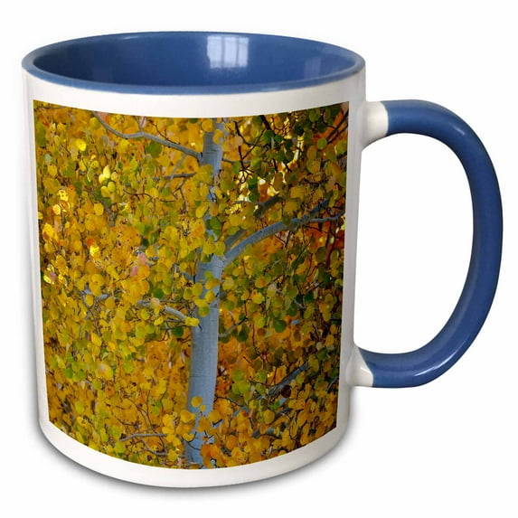 3drose, California, Conway Pass Fall Color., 11oz Two-tone Blue Mug