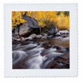 thumbnail image 1 of 3dRose, California, Eastern Sierra. Aspens along North Fork of Bishop Creek, 10x10 inch quilt square, 1 of 1