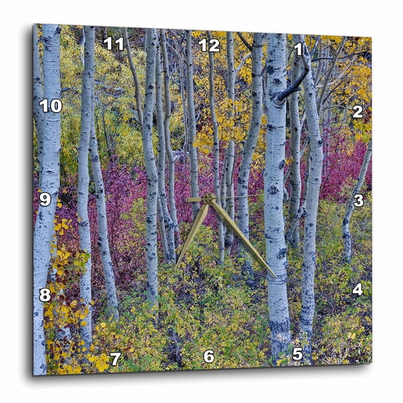 3drose, California, June Lake. Aspens in Fall Color, 10x10 Wall Clock