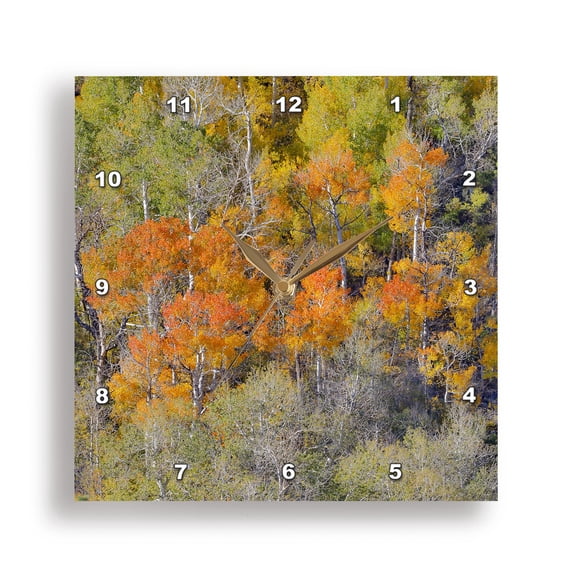 3dRose, California, Lundy Canyon. Eastern Sierras and Aspens in autumn color., 15x15 Wall Clock
