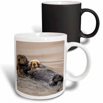 3drose, California, Morro Bay. Sea Otter Mother and Pup in Water., 11oz Magic Transforming Mug